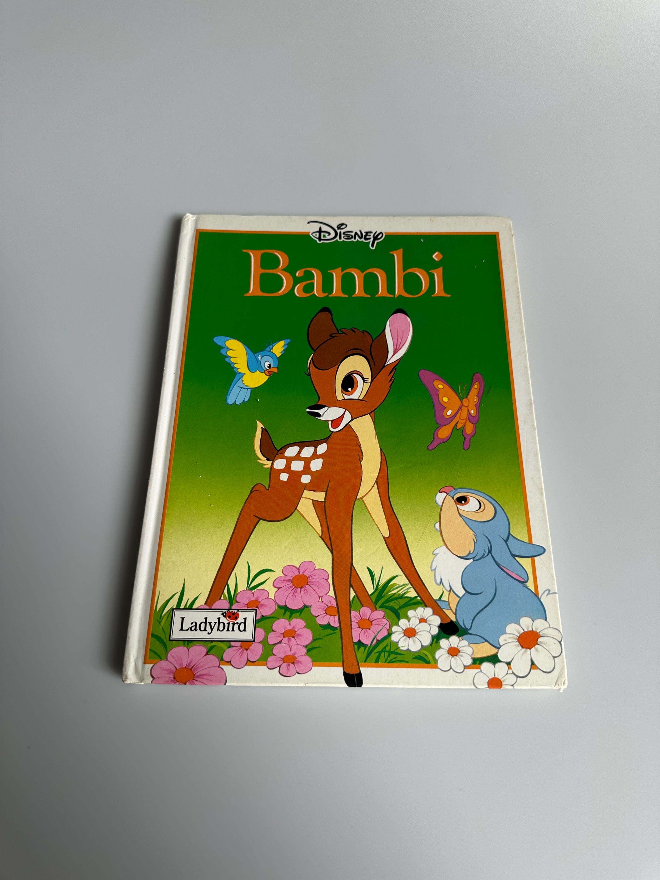 90s Ladybird Book - Etsy