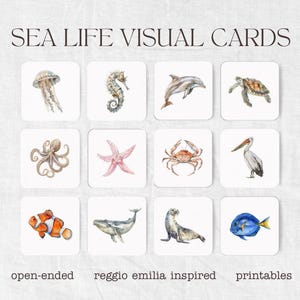 Sea Life Visual Cards for Toddlers | Watercolour Animal Flashcards | Open-Ended Toddler Play | Reggio Inspired | Gentle Play  Printables