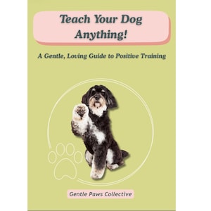 Può includere: Tazza in ceramica bianca con manico nero e la scritta "But First, Coffee" in nero. Lo sfondo sfocato suggerisce un'atmosfera accogliente.