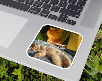 May include: A sticker featuring two orange tabby cats. One cat is sleeping, and the other is looking up. The sticker has the text "Tears coming? Just sleep it off!!" and "Photo by Tomo". The sticker is on a laptop.