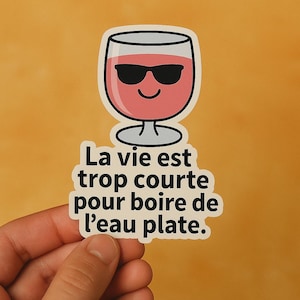 Stickers Ricard Humour – Rosé Autocollant Brillant ou Holographique – Sticker Apéro Drôle – Cadeau Fête des Pères, Ami, Bar, Sud