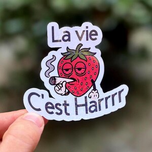 Autocollant Fraise Fumette – Sticker Drôle “La vie c’est harrr” – Humour Chill, Marrant et Holographique – Déco Ordinateur ou Gourde