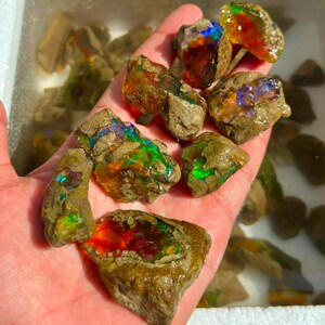 May include: A collection of raw, unpolished opal stones featuring natural, earthy brown rock exteriors with vibrant, iridescent flashes of red, orange, green, and blue colours visible within the fractured, crystalline interior surfaces.