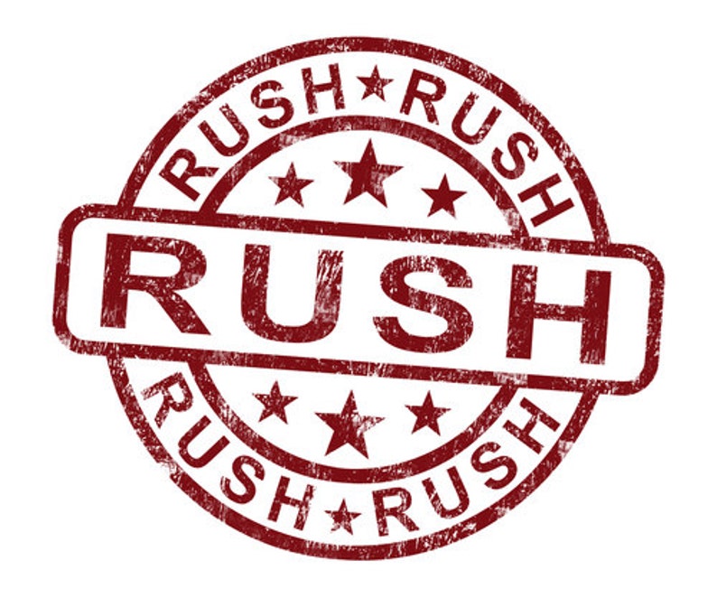 1 ONE Business Day Processing Add-On Upgrade 1 DAY RUSH