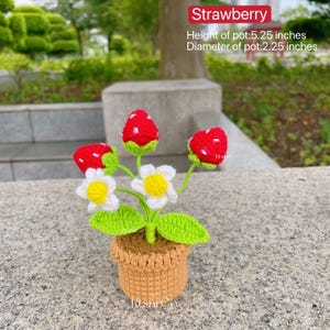 May include: A handmade crochet strawberry plant in a small pot. The plant features red strawberries with white seeds, white and yellow flowers, and green leaves. The pot is approximately 5.25 inches tall and 2.25 inches in diameter. The word "Strawberry" is in the image.