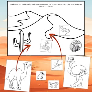 May include: A black and white desert-themed coloring page with a cactus, sand dunes, and various desert animals. The text reads, "DRAW OR PLACE ANIMALS AND PLANTS IN THE PART OF THE DESERT WHERE THEY LIVE. ALSO, MAKE THE DESERT COLORFUL!"
