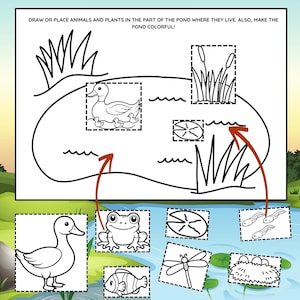 May include: Black and white pond-themed colouring page featuring a duck and ducklings, frog, fish, dragonfly, tadpoles, and lily pads. The text reads, "DRAW OR PLACE ANIMALS AND PLANTS IN THE PART OF THE POND WHERE THEY LIVE. ALSO, MAKE THE POND COLORFUL!"