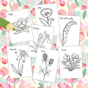 Pode incluir: Uma coleção de cartões brancos com desenhos lineares de várias flores, incluindo uma tulipa, lírio-do-vale e crocus. Os cartões estão dispostos sobre um fundo floral, com um lápis verde colorindo parcialmente um amor-perfeito.