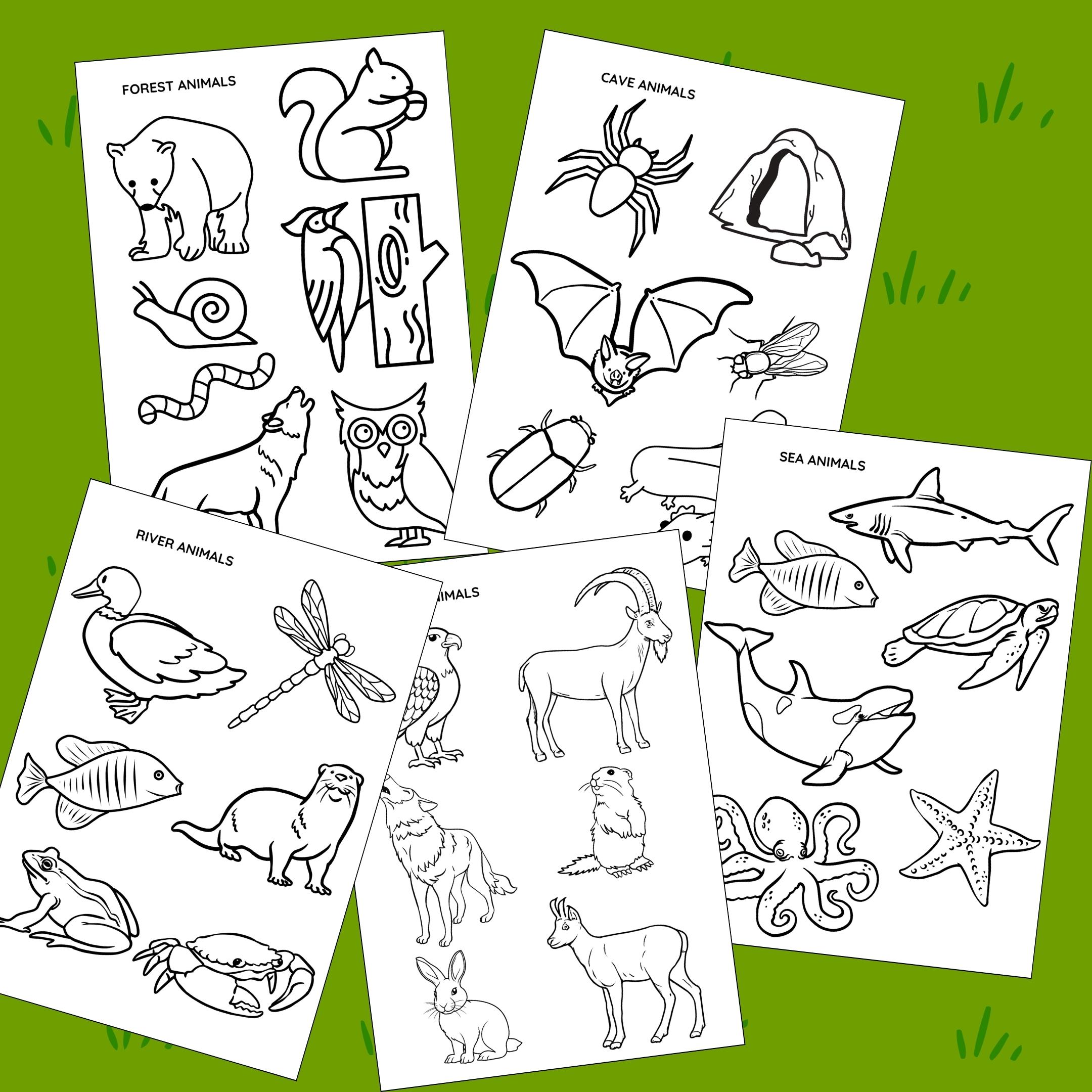 PDF Digital Download Animal Habitats Coloring Pages Bundle Kids ...