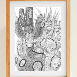 Kaktus-Landschaftszeichnung – Botanischer Linienkunstdruck mit Feder und Tinte, Schwarz-Weiß-Wüsten-Wanddekoration