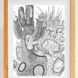 Kaktus-Landschaftszeichnung – Botanischer Linienkunstdruck mit Feder und Tinte, Schwarz-Weiß-Wüsten-Wanddekoration