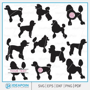 Poodle SVG clipart, Standard Poodle svg, Poodle Clipart, Poodle Silhouette Svg, Poodle Template, Pet Lover, Poodle Cut Files, Elegant Poodle