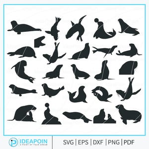 Seal svg, Seal Silhouette, Seal png, Seal Digital Download, Seal Bundle, Seal Vector, Seal Lion