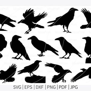 Raven svg, Crow Silhouettes, Raven SVG Bundle, Raven clip art, Flying Crow svg, Raven cut file, Raven silhouette, Crow svg, Raven Clipart