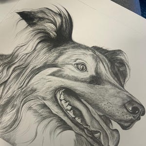 Custom Pet Portrait from Photo – Handmade A3 Pencil Drawing on Textured Canvas Paper  Original, Made to Order Dog Cat Memory Gift