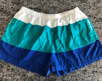 1980/90's Mens Life's Adventure Dash to the Beach Blue & White Striped Nylon Short Swim Trunks Shorts Size XL -1990's mens swim trunks