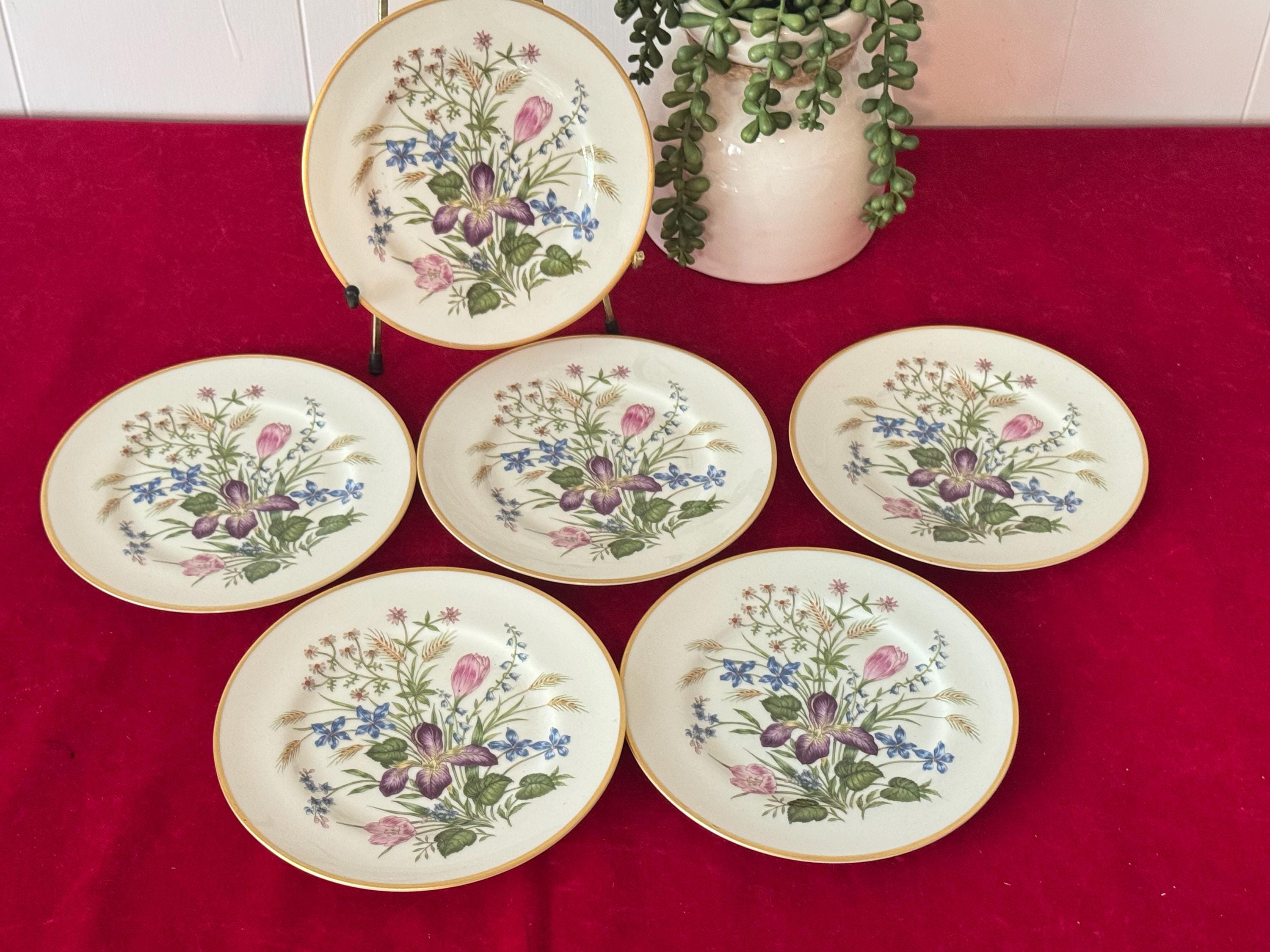 Franciscan Japan - Etsy