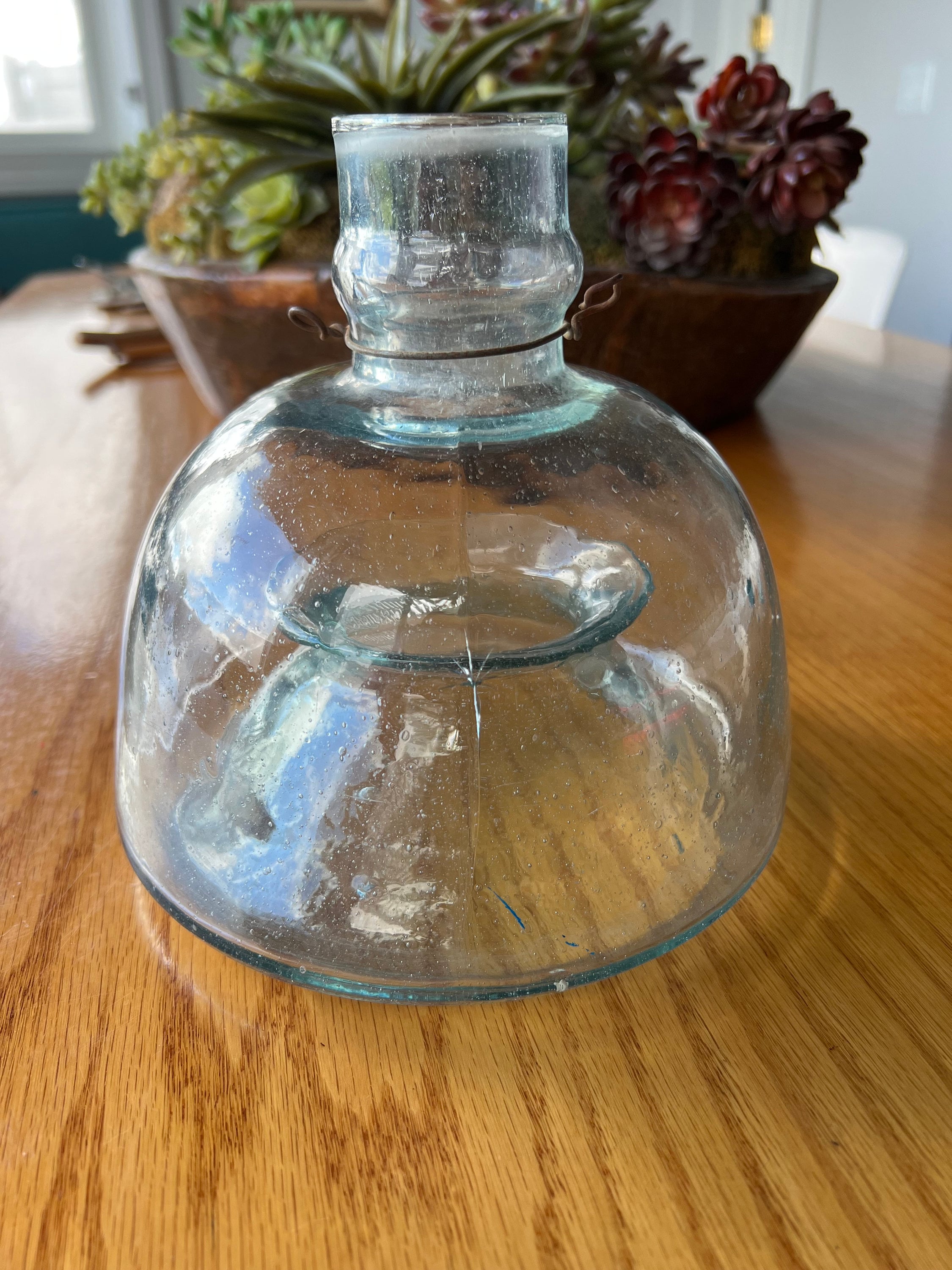 Blown Glass Fly Trap - Etsy