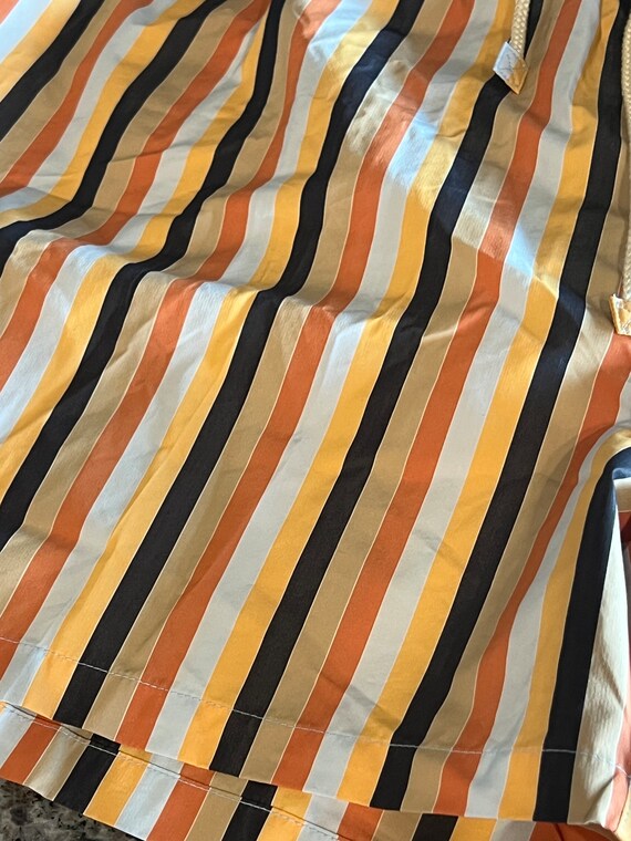 1990's Mens FACCONABLE Striped Polyester Swim Tru… - image 4