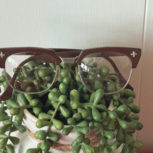 May include: Brown plastic framed glasses with silver accents and clear lenses. The glasses are sitting on top of a green succulent plant.