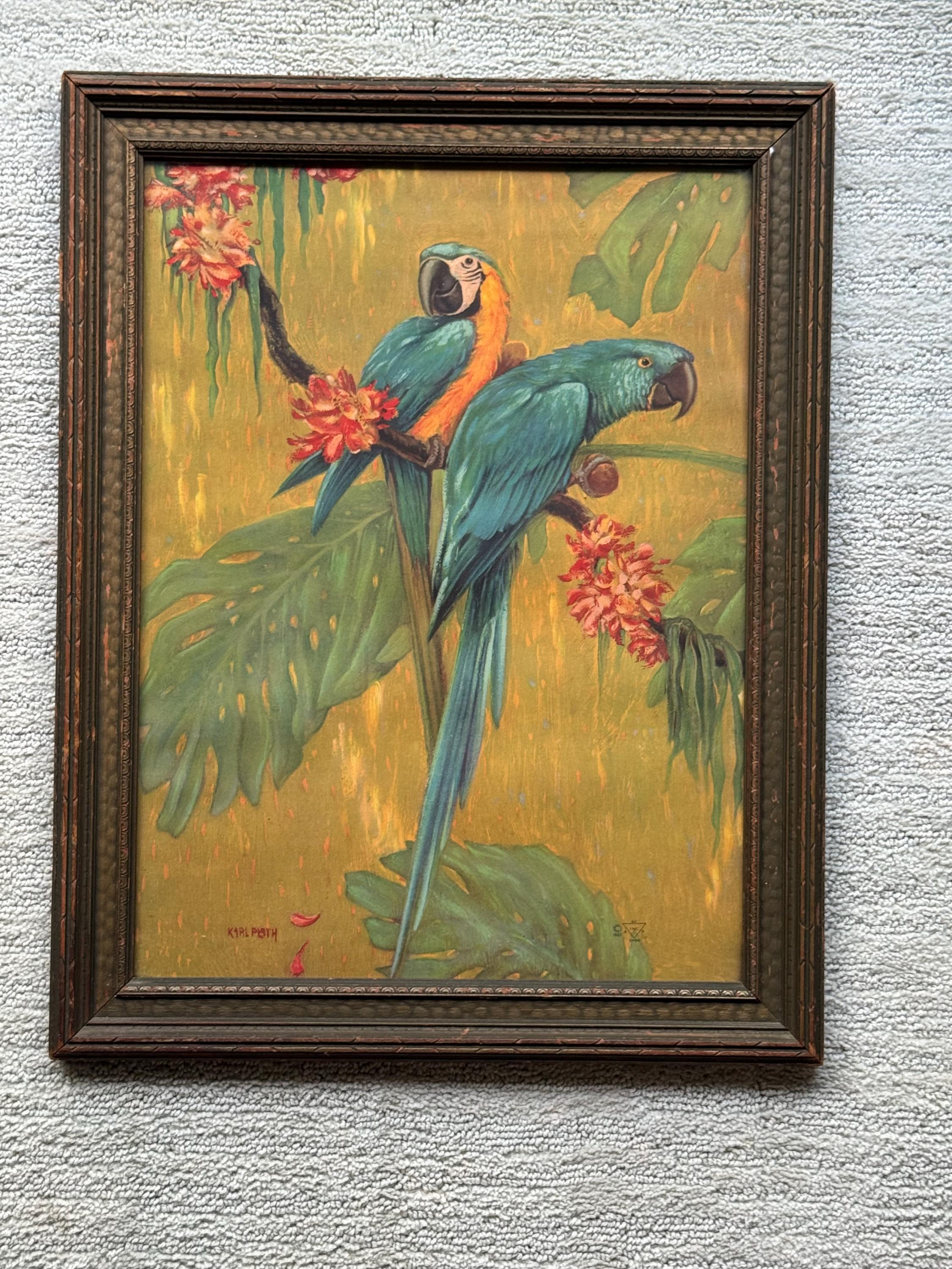 1927 Framed Karl Plath Lithograph Macaws and Parrots in Original