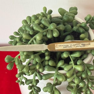 Vintage Souvenir Letter Opener With Brass and Mother of Pearl Central Plating Service with Pocket Knife, 5 1/2" X 1/2"; mother of pearl