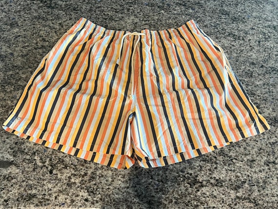 1990's Mens FACCONABLE Striped Polyester Swim Tru… - image 2