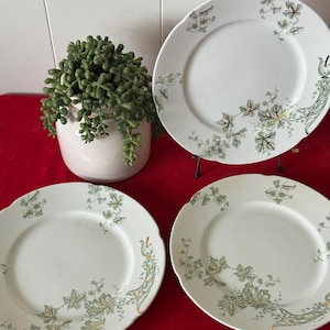 May include: Three white ceramic plates with a green and gold floral design. The plates have a scalloped edge and are displayed on a red surface.
