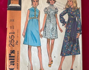 1970 McCalls 2551 Empire Waist Boho-jurk pofmouwen maat 12 Cut ~ mini-jurk, jurk met pofmouwen