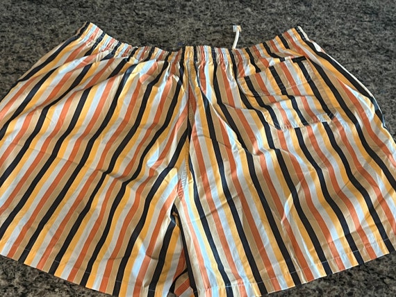 1990's Mens FACCONABLE Striped Polyester Swim Tru… - image 3