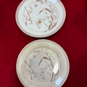 May include: Two white ceramic plates with brown floral designs featuring butterflies and grasses. The plates have a decorative gold trim around the edges.