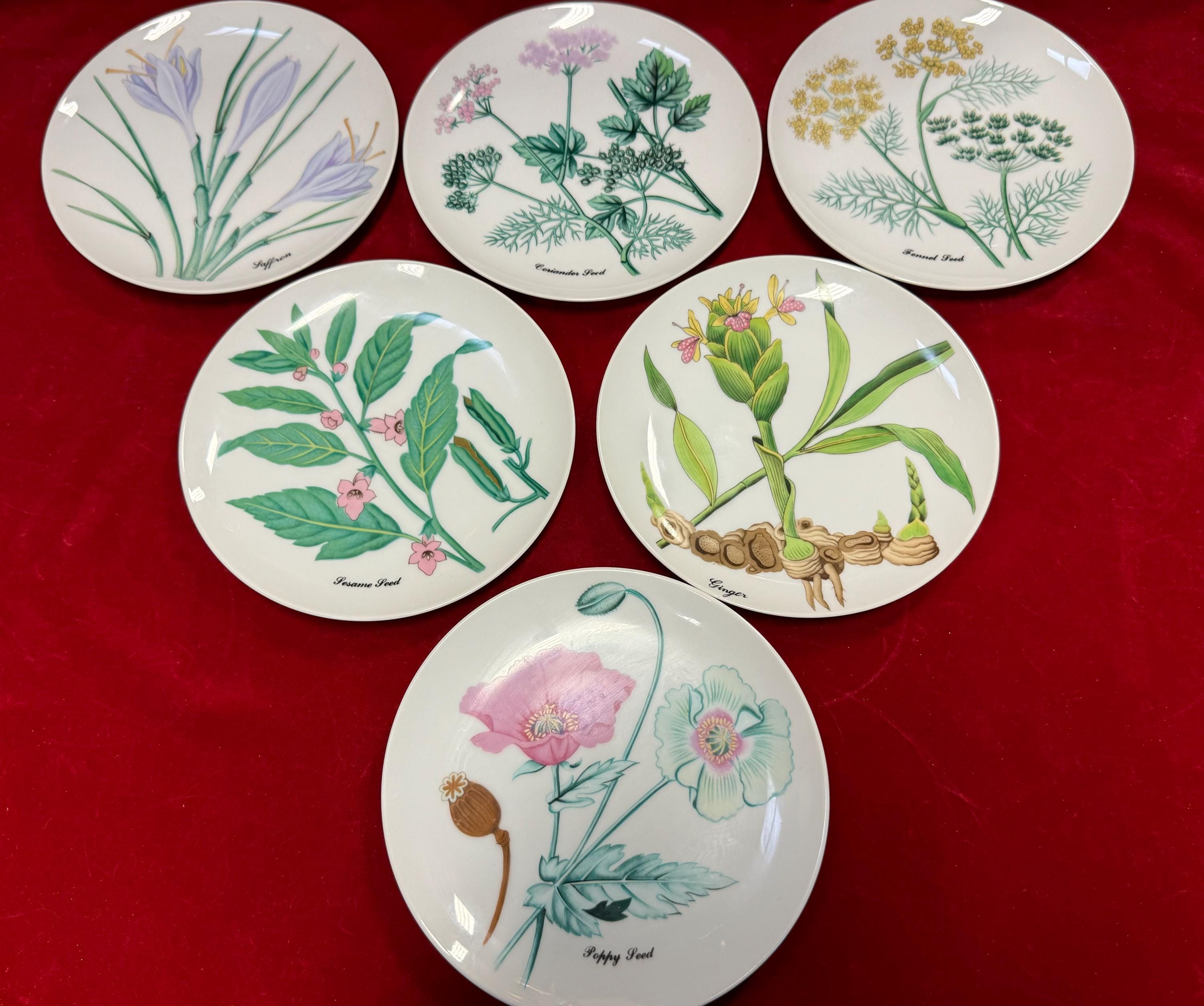 Horchow Collection BOTANICAL HERB Salad Dessert Appetizer Plates