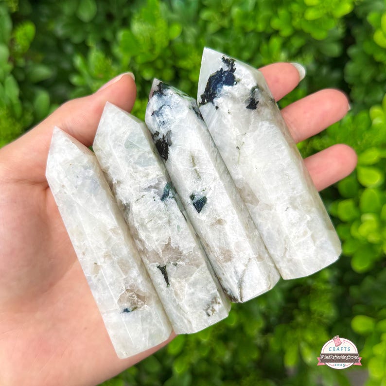 Puede incluir: Cuatro puntas de cristal de piedra lunar arco&iacute;ris pulidas. Los cristales son blancos con inclusiones grises y negras. Los cristales se sostienen en una mano sobre un fondo de follaje verde. Art&iacute;culo espiritual natural.