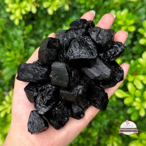 May include: A handful of raw, black tourmaline stones. The rough, unpolished crystals have a dark, opaque appearance. The stones are held in a hand against a backdrop of green foliage. The image includes a logo in the bottom right corner.