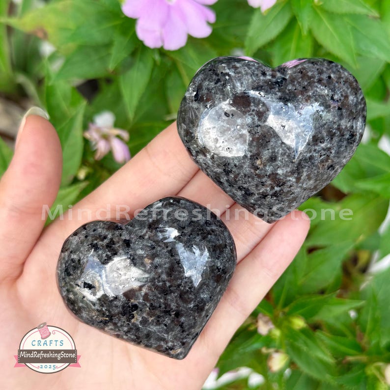 Puede incluir: Dos piedras en forma de coraz&oacute;n con un aspecto gris oscuro moteado se sostienen en una mano. Las piedras tienen una superficie pulida y reflectante. El fondo incluye follaje verde y una flor rosa. El texto "MindRefreshingStone" es visible.