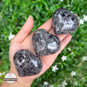 Puede incluir: Tres piedras pulidas en forma de coraz&oacute;n con un patr&oacute;n moteado gris y negro se sostienen en una mano. Las piedras son lisas y reflectantes, con una apariencia natural. El fondo es un verde exuberante con flores blancas.