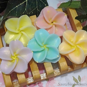 Plumeria Flower Soap (Solid or Painted)
