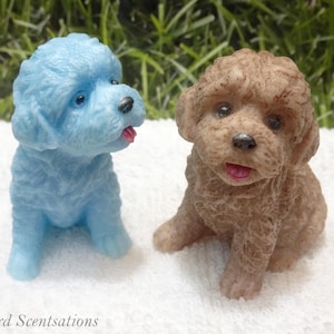 Teddy Bear Dog Soap (Solid or Painted)