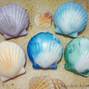 May include: A collection of seashell-shaped soaps in various colors, including lavender, blue, and green, arranged on a sandy surface. The soaps have a marbled effect, and the image includes real seashells.