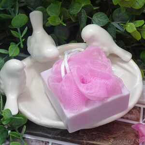 Loofah Square Soap Bar