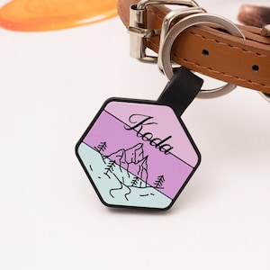 Silent Personalized Soundless Hexagon Designer Pet ID Tag-Deep Engraved Silicone Double Sided&Engraving Will Last-Dog ID Tag,PetTags