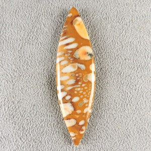 Cabochon fauve, pierre fauve, C6221, taillé à la main par 49erMinerals image 6