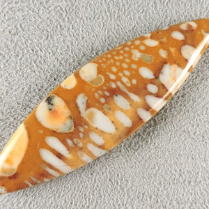 Cabochon fauve, pierre fauve, C6221, taillé à la main par 49erMinerals image 5