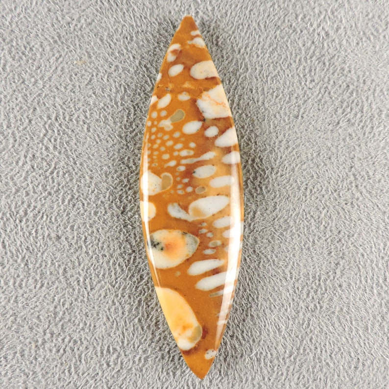 Cabochon fauve, pierre fauve, C6221, taillé à la main par 49erMinerals image 1