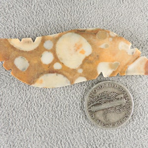 Fawn Stone Cabochon, Fawn Stone Cab, C6520, Hand Cut by 49erMinerals image 7