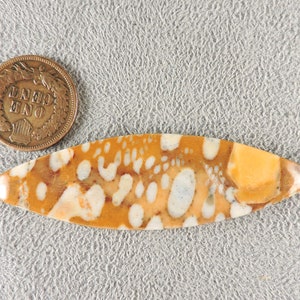Cabochon fauve, pierre fauve, C6221, taillé à la main par 49erMinerals image 7
