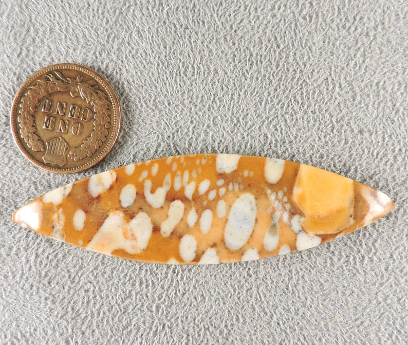 Cabochon fauve, pierre fauve, C6221, taillé à la main par 49erMinerals image 7