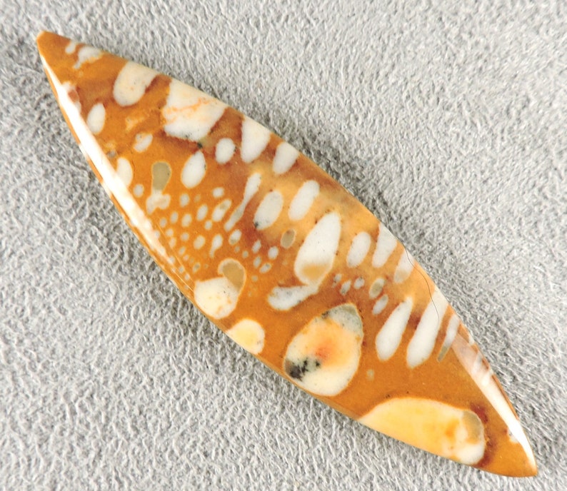 Cabochon fauve, pierre fauve, C6221, taillé à la main par 49erMinerals image 3