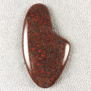 Fossil Dinosaur Bone Cabochon, Red Dinosaur Bone Cab, C6248, Hand Cut by 49erMinerals