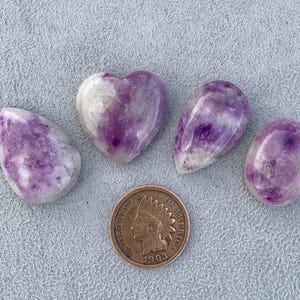 May include: Four polished gemstones in shades of purple and white, including a heart shape and teardrop shapes, are displayed with a 1903 Indian Head penny. The stones have a marbled appearance and are set against a textured gray background.